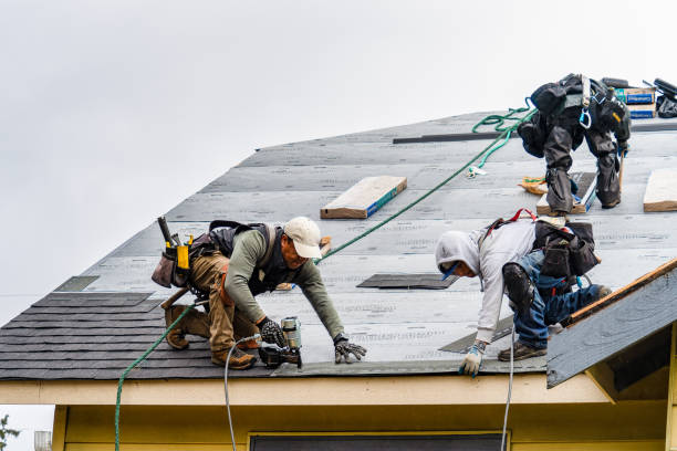 Professional Roofing technician working in Estes Park, CO